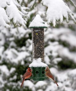 Squirrel Buster Plus Squirrel-proof Bird Feeder w/Cardinal Ring and 6 Feeding Ports, 5.1-pound Seed Capacity, Adjustable, Pole-mountable (POLE ADAPTOR SOLD SEPARATELY), Green 38 71a4FSb158L