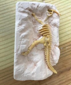 12 Pack: Dinosaur Excavation Kits for Kids, Dino Dig Kits, 3D Dig a Dinosaur Fossil and Figure Sets, Bulk Science Education Toys for Paleontology Archaeology STEM Learning Kids Activity Party Favors 47 71a5DQm587L