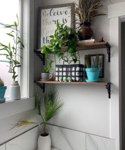 Mkono 2 Pack Watering Can, 250ML and 500ML Succulent Watering Bottle Plant Flower Squeeze Bottle Plastic Bend Mouth Safety Wash Bottle, Small and Medium, White 40 71a5c8idNfL