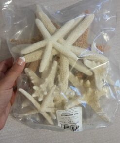 U.S. Shell, Inc. Starfish Mix 27 71a7U4oeSKL