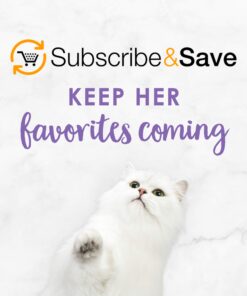 Purina Fancy Feast Dry Cat Food with Savory Chicken and Turkey - 12 lb. Bag Chicken & Turkey 12 Pound (Pack of 1) 36 71aAMQ3jm L