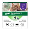 Advantage II Large Cat Vet-Recommended Flea Treatment & Prevention | Cats Over 9 lbs. | 4-Month Supply 4 Pack Large Cat only 44 71aB0uvCewL 2
