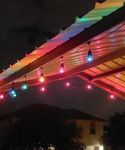 Novelty Lights 25 Pack S14 Outdoor Patio Edison Replacement Bulbs, E26 Medium Base, Multi, 11 Watt 25 Count (Pack of 1) 38 71aBE1du7L