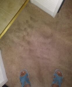 Clean-eez Stain-eez Carpet Cleaner Spray – Pro-Biotics & Enzyme Power for Ultimate Stain & Odor Elimination – Best Pet Carpet Cleaner Single Bottle 23 71aEwAEctML