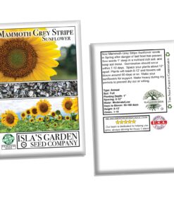 Mammoth Grey Stripe Sunflower Flower Seeds, 50+ Heirloom Seeds Per Packet, (Isla's Garden Seeds), Non GMO Seeds, Botanical Name: Helianthus annuus 21 71aFz0IzzlL