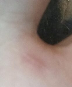 OXO Good Grips 7-Piece Nesting Measuring Beaker Set 38 71aG384ofQL