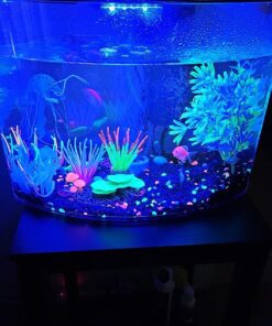 GloFish Aquarium Fish Tank Kits, Includes Fish Tank Decorations and LED Lighting, Tetra Filter and Water Conditioner 5-gallon crescent kit 30 71aIVx7AYVL