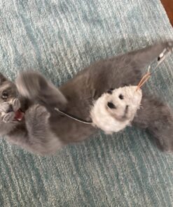 Go Cat Cat Catcher Teaser Wand with Mouse Cat Toy 30 71aJ87gO5UL