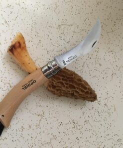 Opinel No. 08 Mushroom Knife – Pick + Clean Mushrooms, Beechwood Handle, Integrated Brush, Curved Sandvik Steel Blade, Made in France 30 71aJVBGmNAL