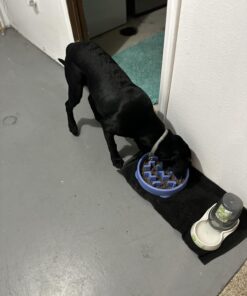 Outward Hound Fun Feeder Slo Bowl, Slow Feeder Dog Bowl, Medium/Mini, Turquoise 27 71aKeKJBbRL 1