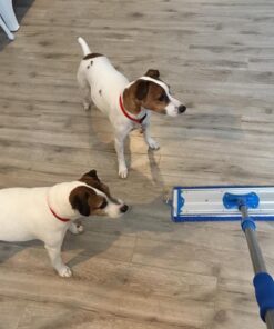 18" Professional Microfiber Mop - Hardwood Floor Mop - Dry & Wet Mop for Wood, Laminate, Tile, Vinyl Floors | Washable Pads | Wet & Dust Mopping | Adjustable Handle + 1 Microfiber Cloth Mop Kit with Telescoping Handle 64 71aLEOCpeRL