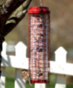 Perky-Pet 102 4 lb Squirrel Resistant Easy Feeder 24 71aLHT07fVL