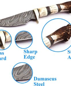 Skokie Knives Custom Hand Made Damascus Steel Hunting Knife Handle Stag Antler 7 71aMQElX3nL