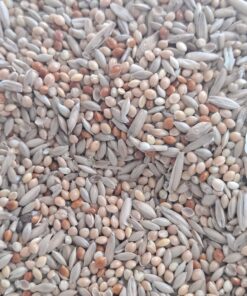 Hagen Parakeet/Budgie Staple Vme Seed, 25-Pound,Green Budgie 25 Pound (Pack of 1) 17 71aN8qvTA5L