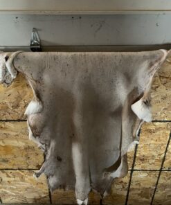 Knoblochs Deer Hunter's & Trapper's Hide & Fur Tanning Formula Multi Pack 1 36 71aOamiLTML