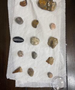 NATIONAL GEOGRAPHIC Mega Fossil Dig Kit - Excavate 15 Genuine Prehistoric Fossils, Kids Educational Toys, Great Science Kit Gift for Girls and Boys (Amazon Exclusive) 30 71aOmfIa3TL