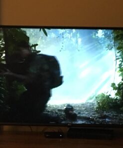 Roku Premiere - HD and 4K UHD Streaming Media Player with HDR 64 71aOvWYD9JL