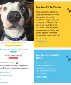 Embark Breed & Health Kit (2 Pack) - Dog DNA Test - Discover Breed, Ancestry, Relative Finder, Genetic Health, Traits, COI 2 Count (Pack of 1) 27 71aR6kG83JL 1