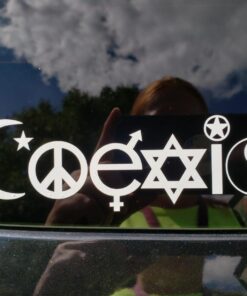 共存デカールステッカービニールバンパー – Christian Muslim Buddhist after life Star Dancing Peaceプライド 11 71aVkJ6DI L
