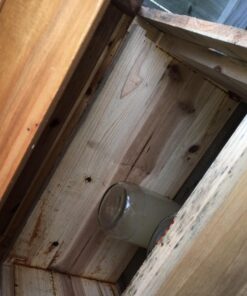 Mann Lake FD203 Bee-Pro Pollen Substitute Canister, 1-Pound 17 71aW03lW6vL