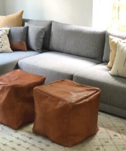 R86 Industrial All-Out Odor Eliminator, Removes Dead Animal Odor, Skunk Odor, Urine, Poop, Musty Basement & More – Natural Formula, Use Wet or Dry, Biodegradable 21 71aXjiiaioL 4