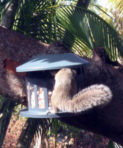 Woodlink Squirrel Diner Feeder Model 75590 beige 43 71aa1O2da9L