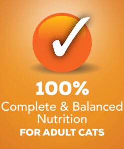 Purina Friskies Pate Wet Cat Food, Liver & Chicken Dinner - 5.5 Oz (Pack of 24) 12 71acVIKok L