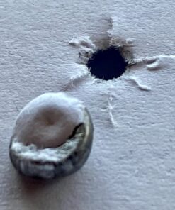 Crosman Premier Lead Pellets (500-Count) Hollow .177 27 71aeHYSnYuL