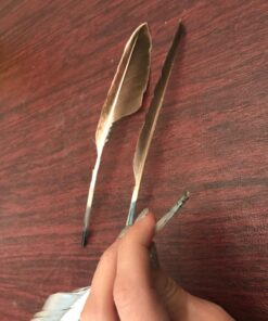 Touch of Nature 22-Piece Duck Wing Quills for Arts and Crafts, 8-Inch, Natural/Grey 1 17 71aeaoxW0NL