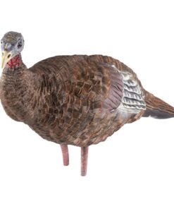 AVIAN-X LCD Breeder Hen Turkey Decoy | Durable Realistic Lifelike Collapsible Standing Hunting Decoy with Carry Bag & Stake, AVX8008 18 71afKyq6I1L