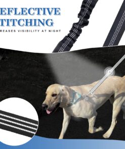 Pet Dog Double Leashes - No Tangle Dog Leash Coupler, Comfortable Shock Absorbing Reflective Bungee Lead for Nighttime Safety, Dual Dog Training Leash for Small, Medium & Large Dogs (Black) 19 71ag3adUJKL