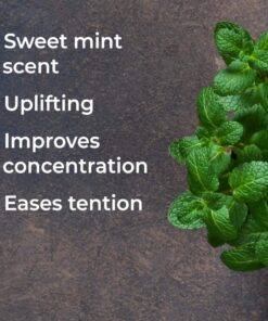 Plant Therapy USDA Certified Organic Spearmint Essential Oil 10 mL (1/3 oz) 100% Pure, Undiluted, Therapeutic Grade 13 71ah9c3OZL