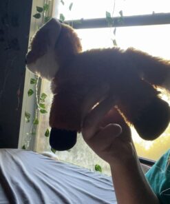 Aurora® Adorable Mini Flopsie™ Foxxie™ Stuffed Animal - Playful Ease - Timeless Companions - Orange 8 Inches Plush 23 71ahk5XZ4iL