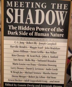 Meeting the Shadow: The Hidden Power of the Dark Side of Human Nature Paperback 7 71ai4J5fkmL