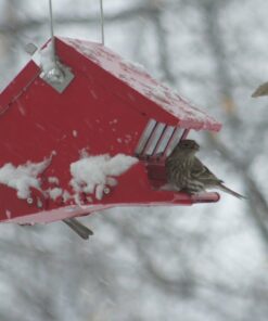 Heritage Farms Mini Absolute II Bird Feeder 13 71ajqouNW0L