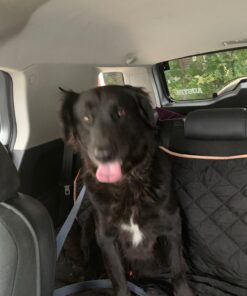 Pioneer DMH-Z5150BT 7" WVGA Display, Apple CarPlay, Android Auto, Built-in Bluetooth, AppRadio Mode, Pandora, Spotify, MIXTRAX, USB/AUX Digital Multimedia Video Receiver / FREE ALPHASONIK EARBUDS 35 71ak eQqlVL