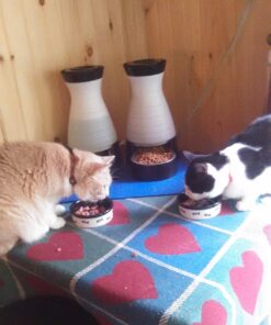 Purina Fancy Feast Grilled - (24) 3 oz. Cans Chicken 3.00 Ounce (Pack of 24) 23 71alluZQnjL