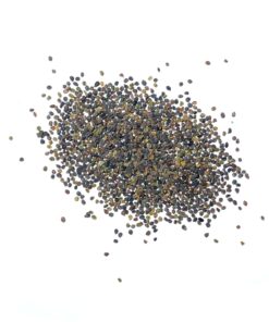 Seed Needs, Purple Rockcress Seeds - 1,000 Heirloom Seeds for Planting Aubrieta deltoidea - Perennial Flower Great for Rock Gardens, Groundcover, Attracts Pollinators (5 Packs) 2 Packs (2,000 Seeds) 12 71anK9oVSYL