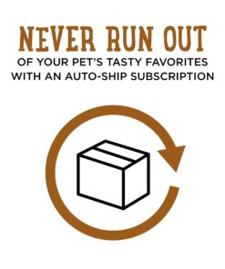 Purina Beneful High Protein, Gravy Wet Dog Food Variety Pack, Prepared Meals Stew - (6) 10 oz. Tubs 6.00 Ounce (Pack of 10) 24 71ao2cF731S