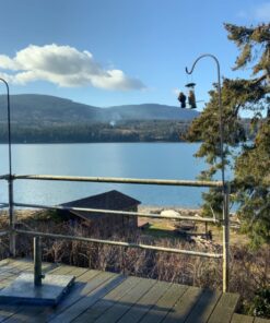 Premium Steel Sunflower Seed and Peanut Feeder, 9.5" Tall, Wild Bird Feeder for Woodpeckers, Titmice, Nuthatches, Chickadees, Jays and More, Gifts for Mom, for Women, Gifts for Dad 9.5 inch 33 71apNL5bBkL