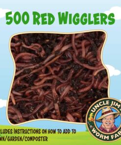 Alternative view of Uncle Jim's Worm Farm Red Wiggler Composting Worms Mix for Garden Soil or Fishing | Pack of Compost Worms Improves Soil Structure and Quality for Healthier Gardens | 500 Count