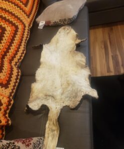 Knoblochs Deer Hunter's & Trapper's Hide & Fur Tanning Formula Multi Pack 1 38 71atNSl6ML