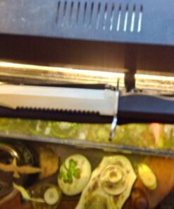 Jungle Master 15 Inch Hunting Knife 61 71auIEmrv2L