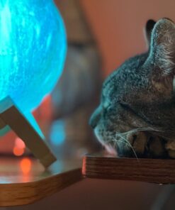 BRIGHTWORLD Moon Lamp Galaxy Lamp 5.9 inch 16 Colors LED 3D Moon Light, Remote & Touch Control Moon Night Light Gifts for Girls Boys Kids Women Birthday Wooden Base 49 71ay75gG8AL