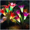 TONULAX Solar Garden Lights Outdoor - New Upgraded, Multi-Color Changing Lily Solar Lights for Patio,Yard Decoration, Bigger Flower and Wider Solar Panel (2 Pack,Purple and Red) 2 Pack 24 71az0M3TZlL