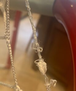 Mylec Easy Assemble Steel Hockey Goal for Indoor + Outdoor - 52” x 43” x 28” - 17 pounds - Light + Portable 22 71azInaxK7L