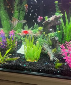 Seachem Stability Fish Tank Stabilizer - For Freshwater and Marine Aquariums, 16.9 Fl Oz (Pack of 1) 25 71azW8Gz3TL