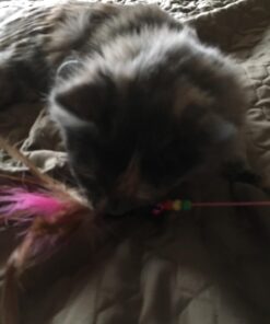 Fashion's Talk Cat Toys Variety Pack for Kitty 20 Pieces 48 71azooQ3IDL