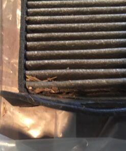 Mann Filter CUK 2939 Cabin Filter With Activated Charcoal for select Audi/Volkswagen models 38 71b0QOs1D1L