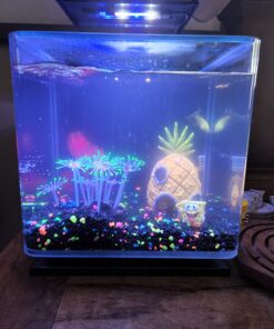 GloFish Aquarium Fish Tank Kits, Includes Fish Tank Decorations and LED Lighting, Tetra Filter and Water Conditioner 5-gallon crescent kit 40 71b1QmhsDoL